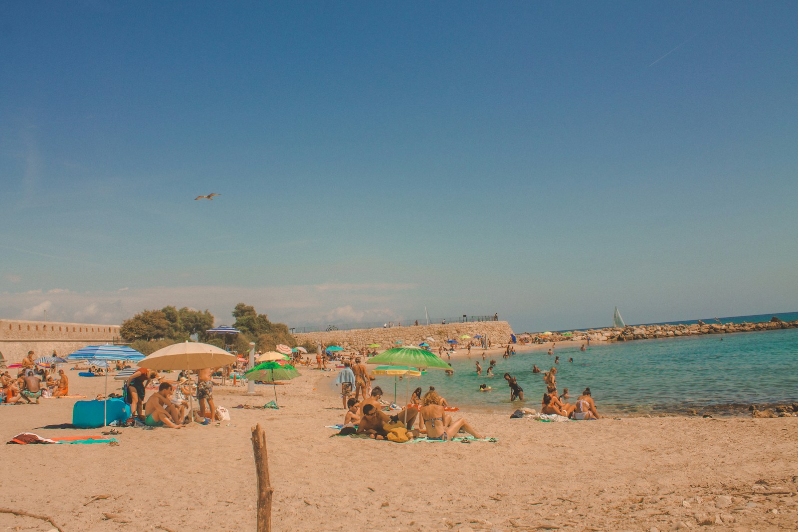 Vacations For Toronto Seniors